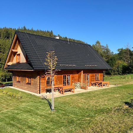 Apartmany Orlice Červená Voda エクステリア 写真