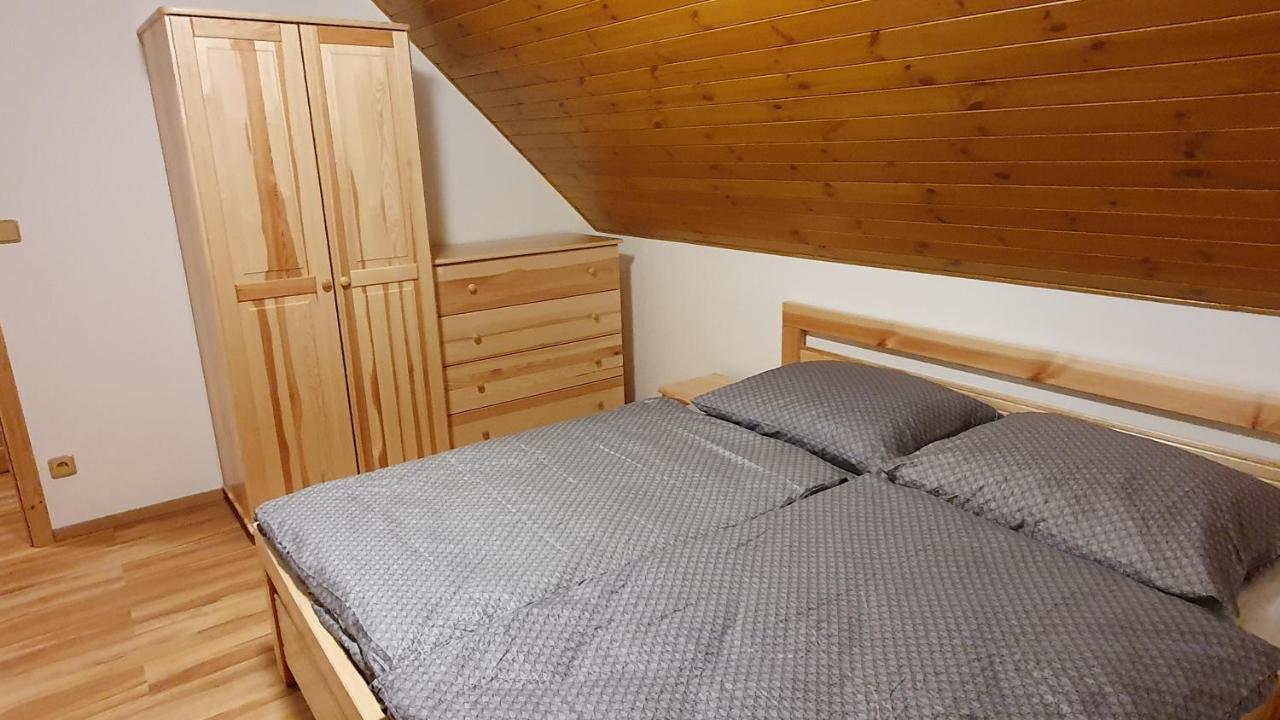 Apartmany Orlice Červená Voda エクステリア 写真