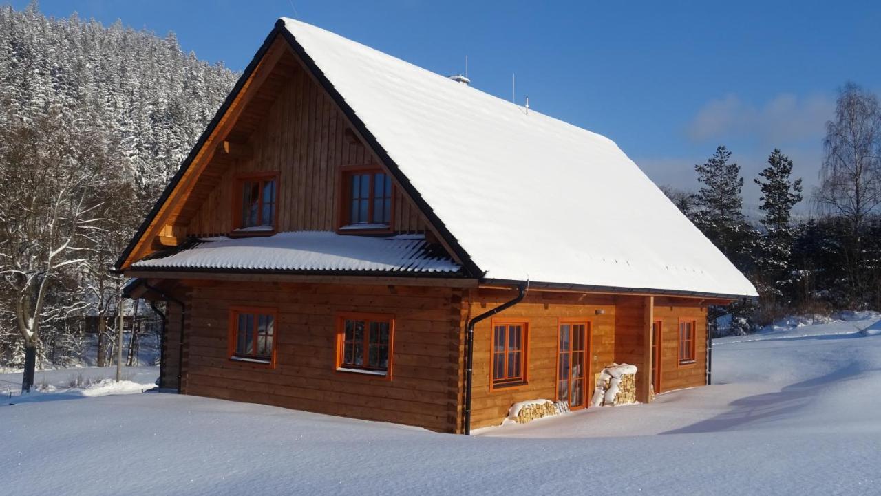 Apartmany Orlice Červená Voda エクステリア 写真