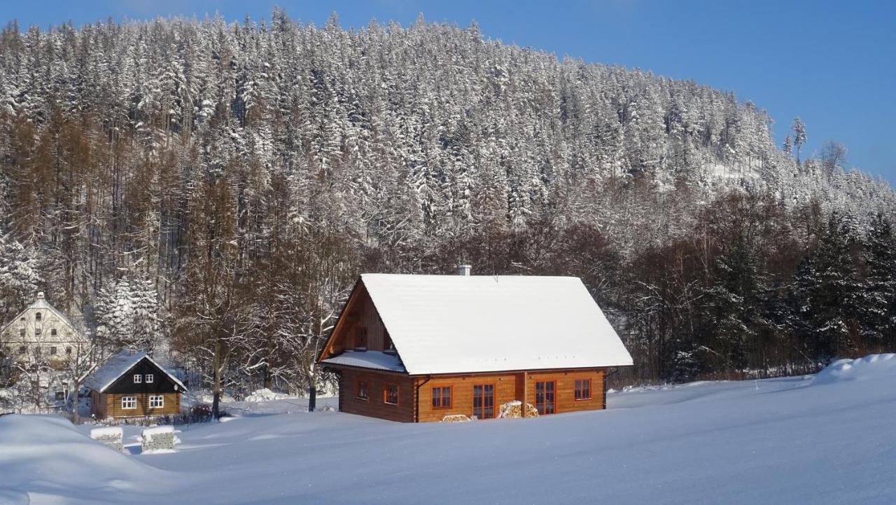 Apartmany Orlice Červená Voda エクステリア 写真